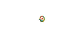 tehsil logo